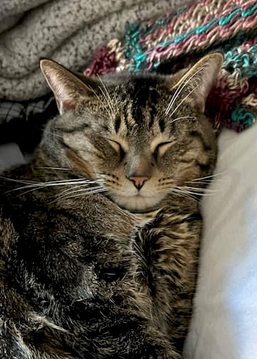 oscar asleep